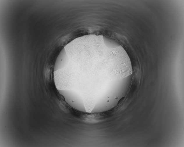 X0000086330527200704202044