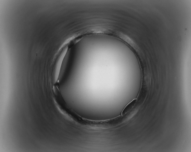 X0000086330530200704202043