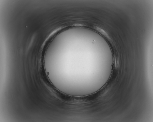 X0000086330531200704202043