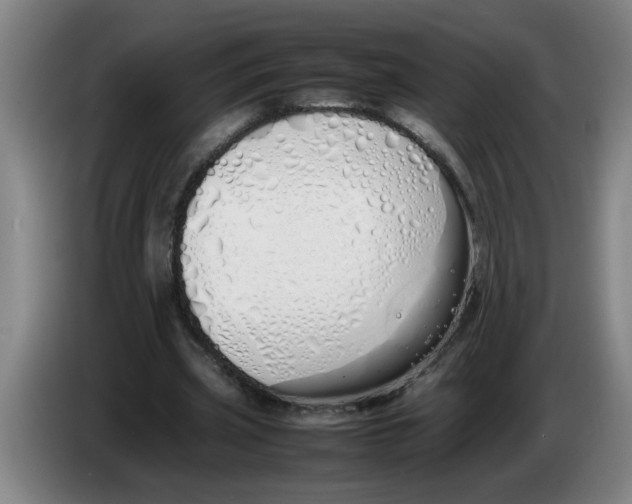 X0000086330533200704202043