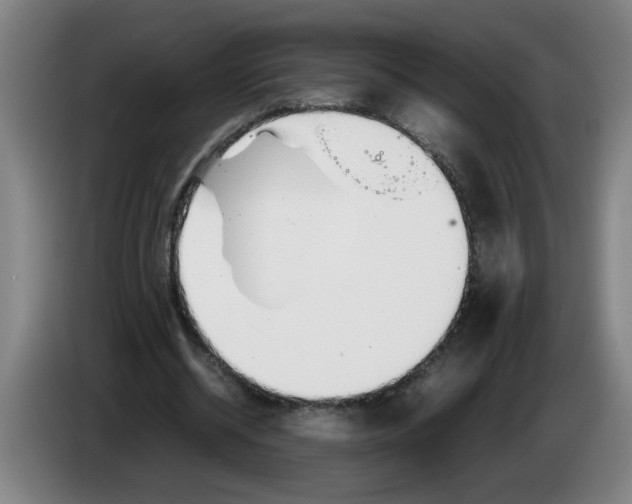 X0000086330534200704202043