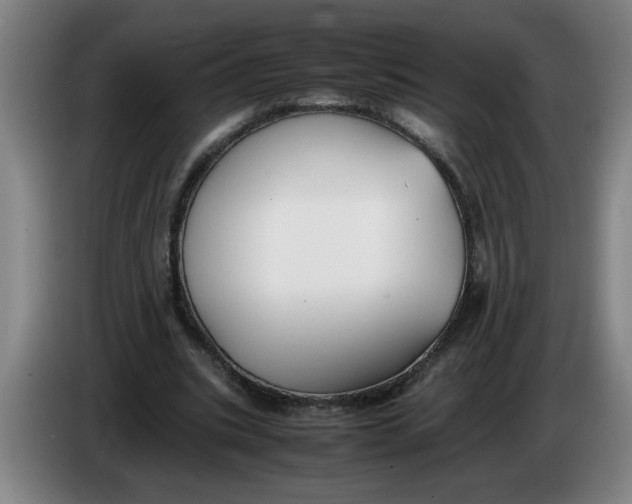 X0000086330535200704202043