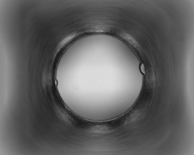 X0000086330536200704202043