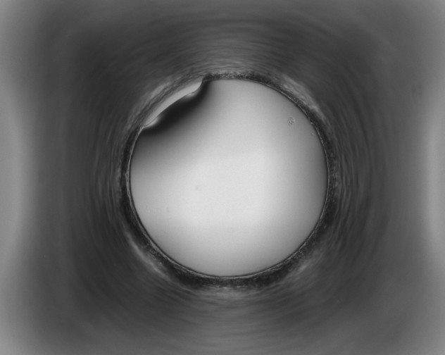 X0000086330538200704202043