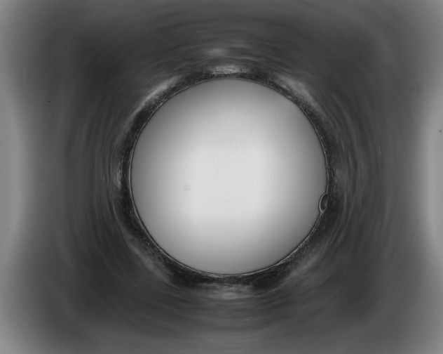 X0000086330539200704202043