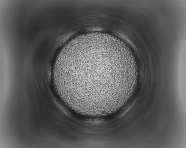 X0000086330541200704202043