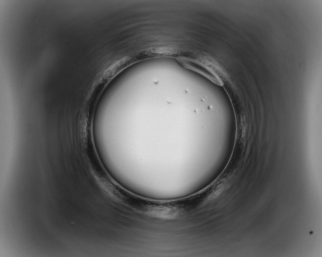 X0000086330542200704202043