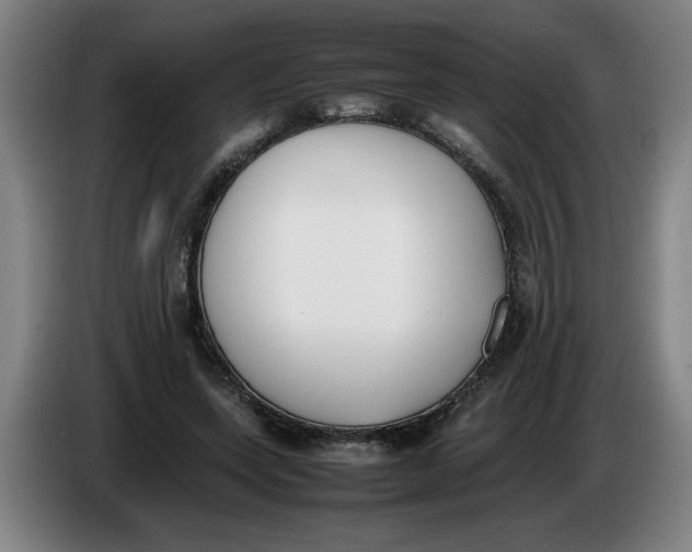 X0000086330543200704202043