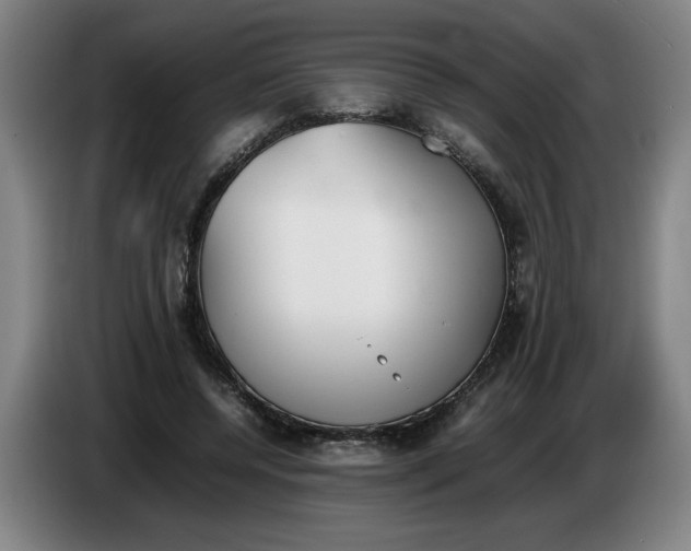 X0000086330544200704202043