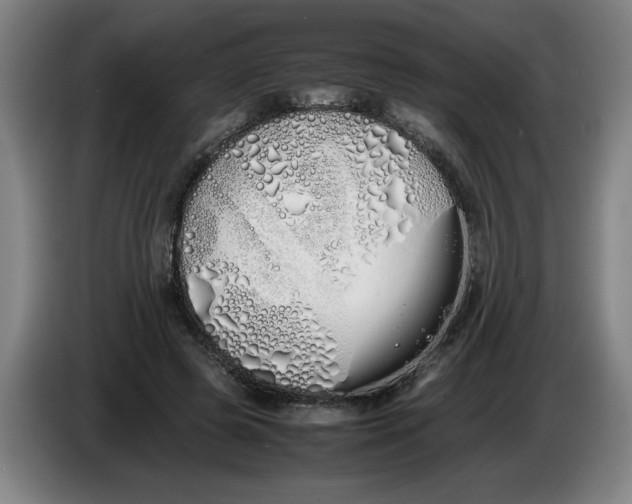 X0000086330545200704202043