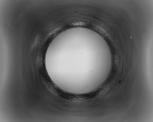 X0000086330547200704202043