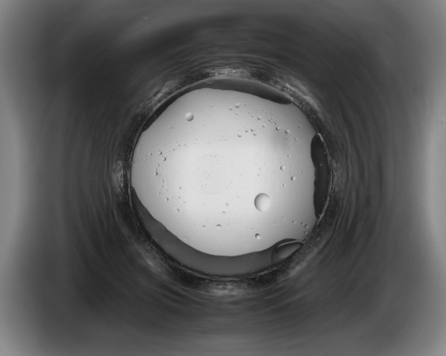 X0000086330549200704202043