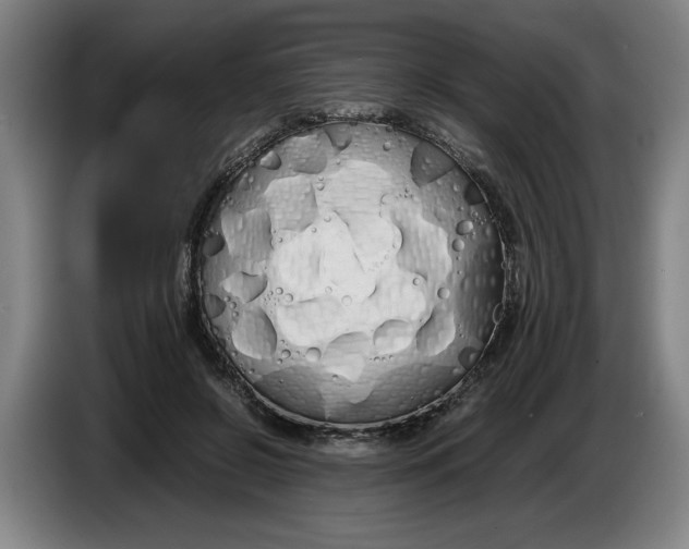 X0000086330550200704202043