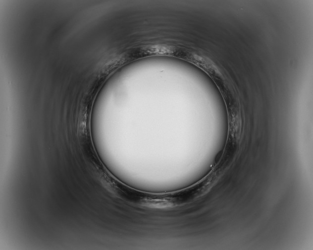 X0000086330553200704202044