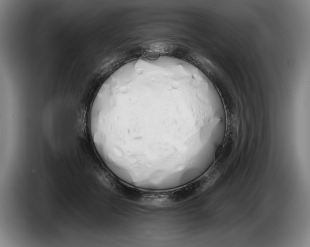 X0000086330554200704202044