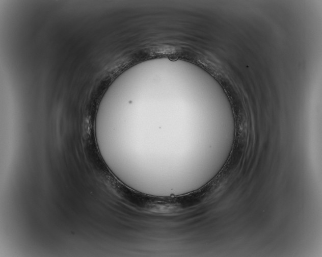 X0000086330555200704202044