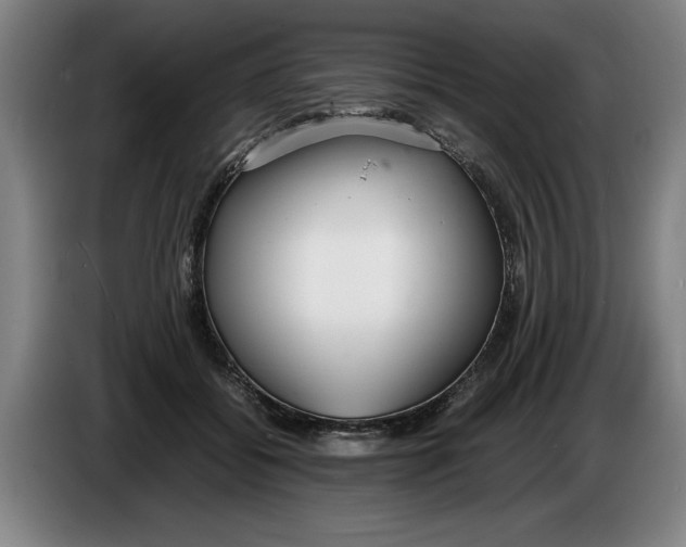 X0000086330556200704202044