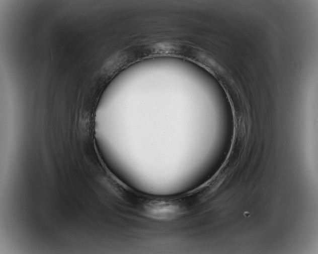 X0000086330557200704202044