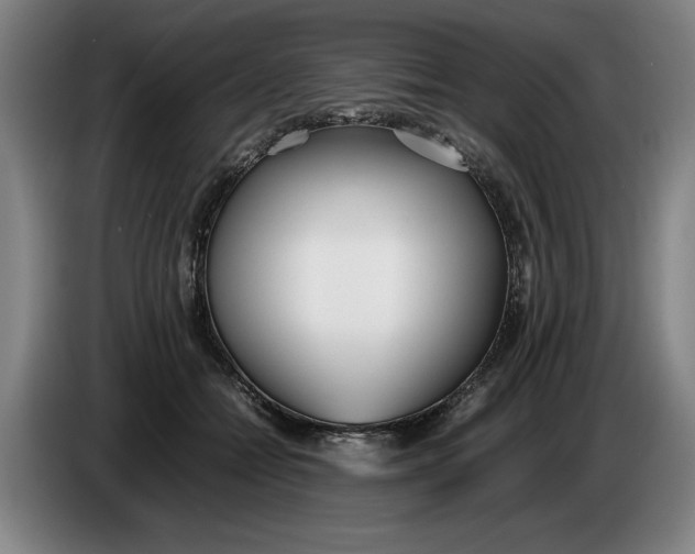 X0000086330558200704202044