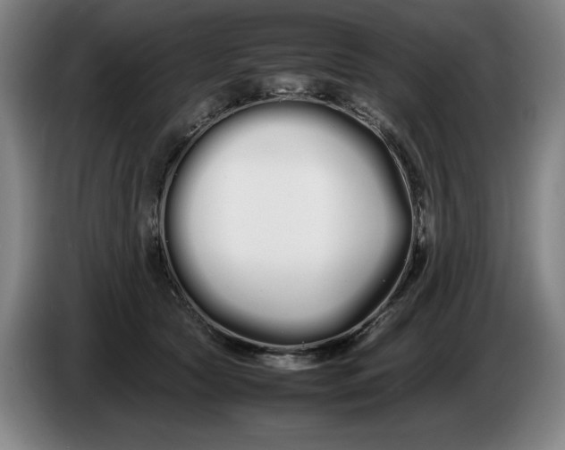 X0000086330561200704202044