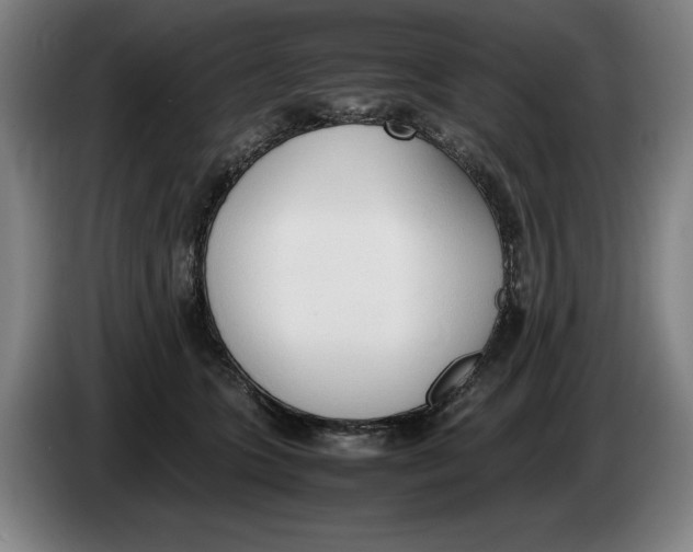 X0000086330563200704202044