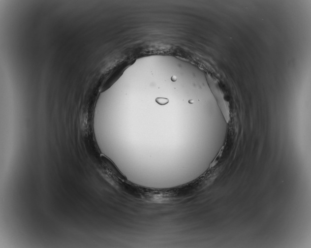 X0000086330564200704202044