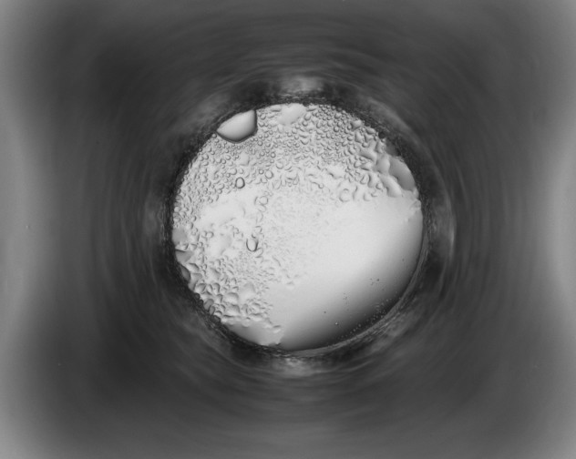 X0000086330565200704202044