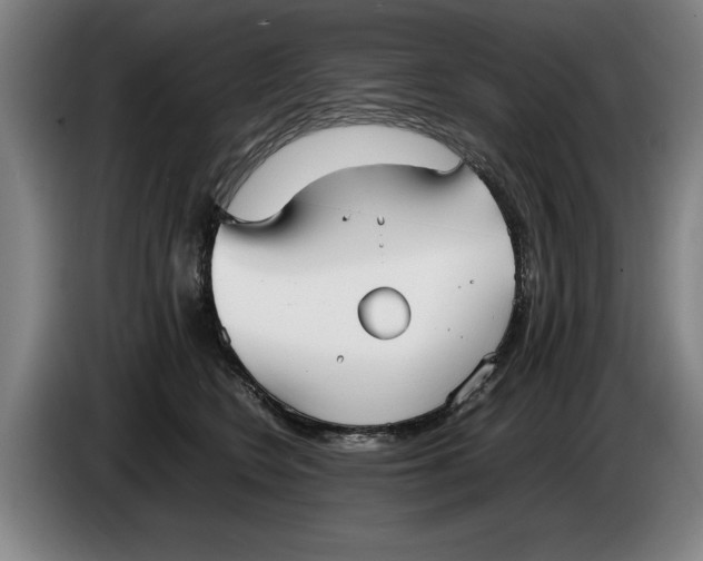 X0000086330566200704202044