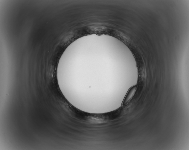 X0000086330567200704202044