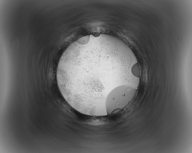 X0000086330569200704202044