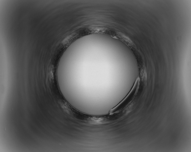 X0000086330570200704202044