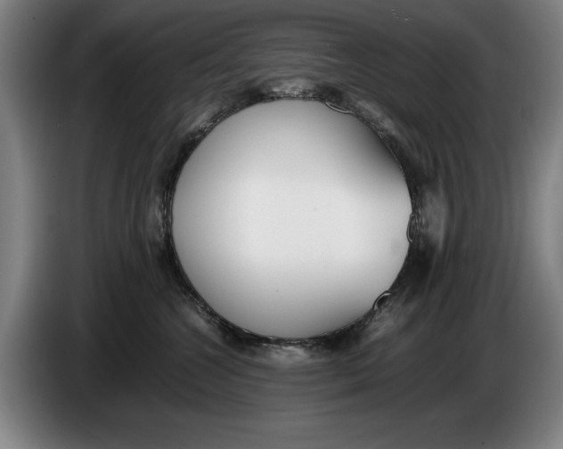 X0000086330572200704202044