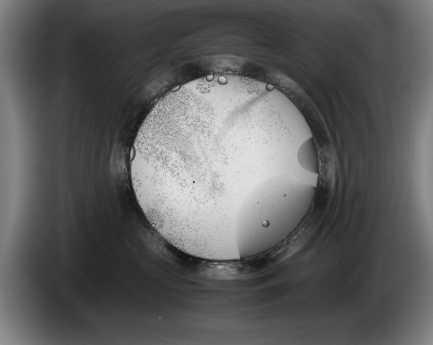 X0000086330573200704202044