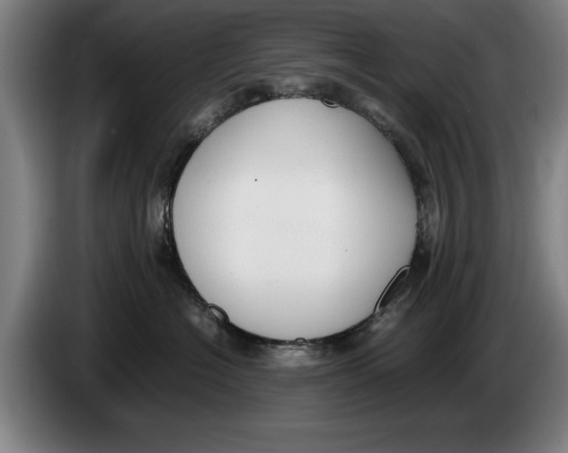 X0000086330574200704202044