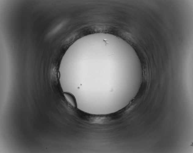 X0000086330575200704202044