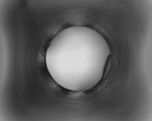 X0000086330576200704202044