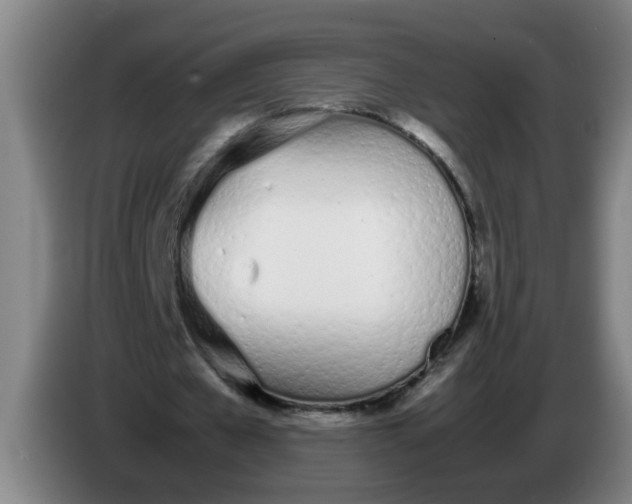 X0000086330577200704202043