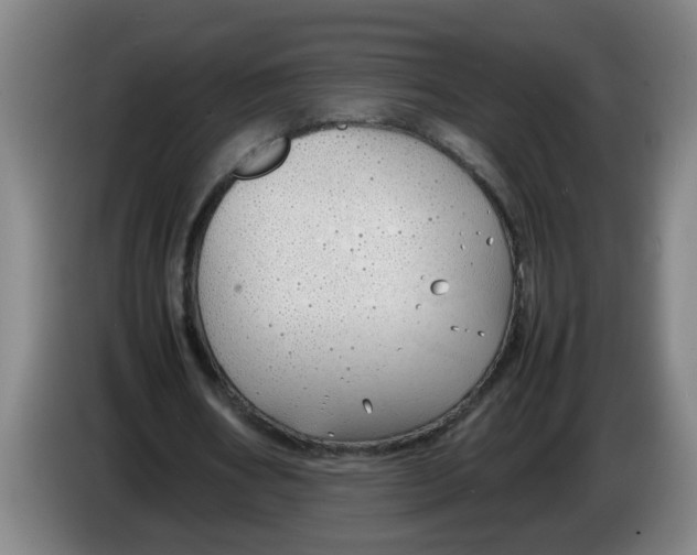 X0000086330578200704202043