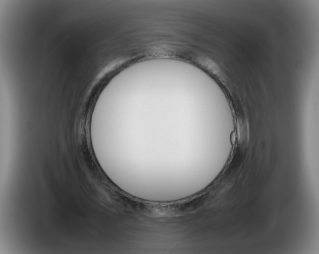 X0000086330579200704202043