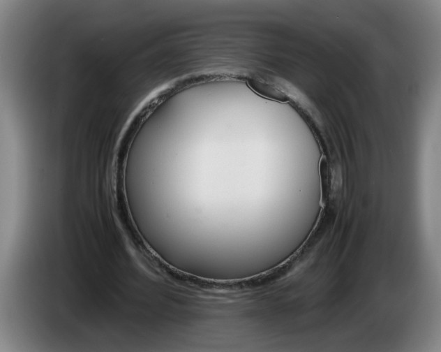 X0000086330580200704202043