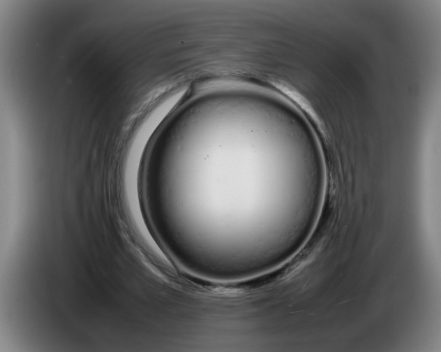 X0000086330581200704202043