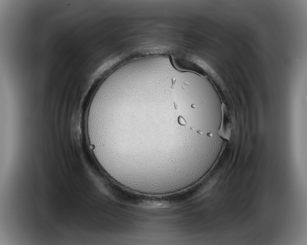 X0000086330582200704202043