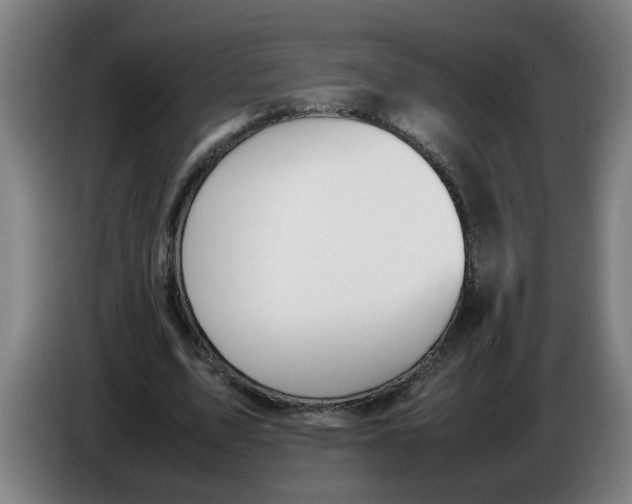 X0000086330583200704202043