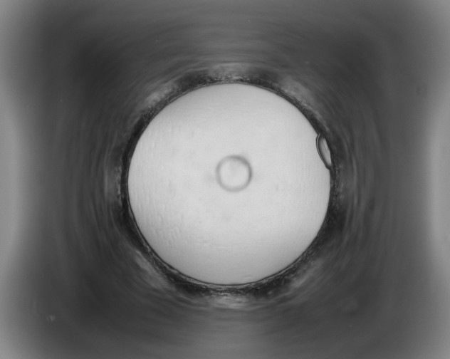 X0000086330585200704202043