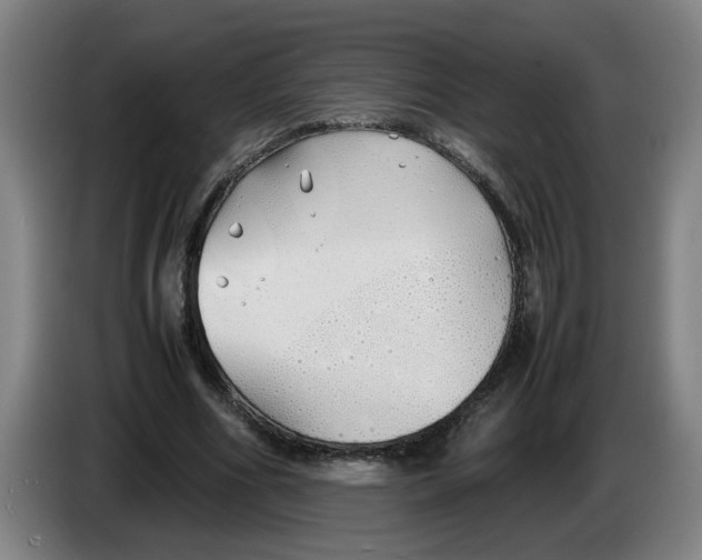 X0000086330586200704202043