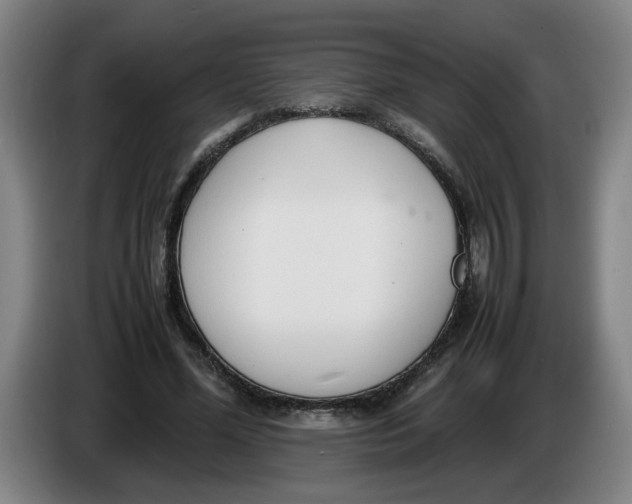 X0000086330588200704202043