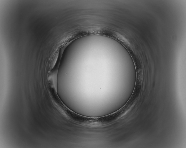 X0000086330589200704202043