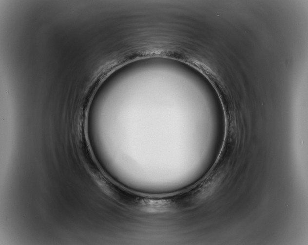 X0000086330590200704202043