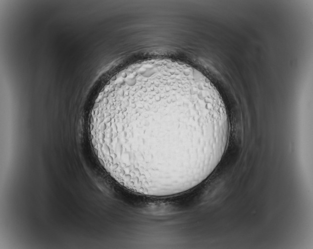 X0000086330591200704202043