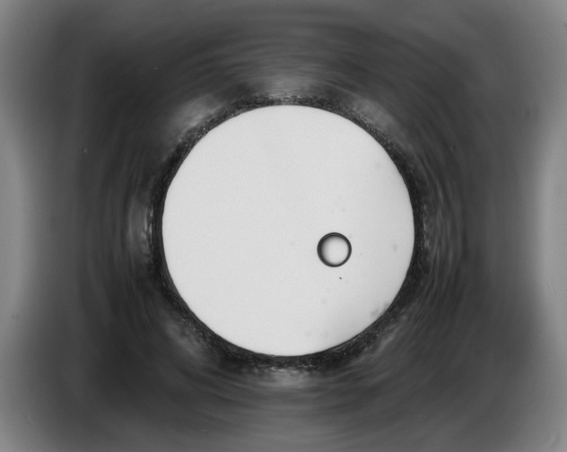 X0000086330592200704202043